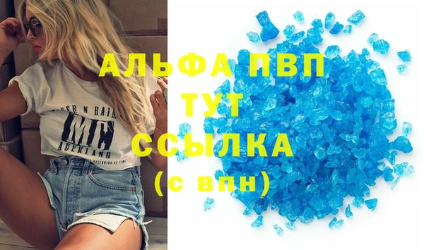 Альфа ПВП Новодвинск