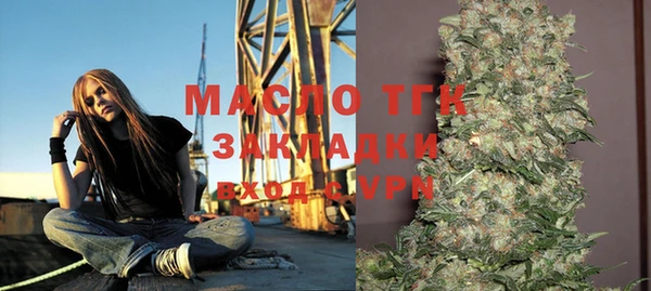 стаф Няндома