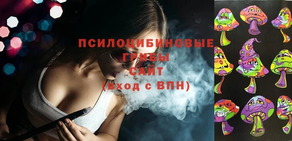 стаф Няндома