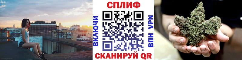 Бошки Шишки THC 21%  где можно купить   Лодейное Поле 
